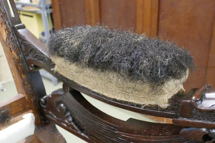 The moss is then covered with a thin layer of horse hair.