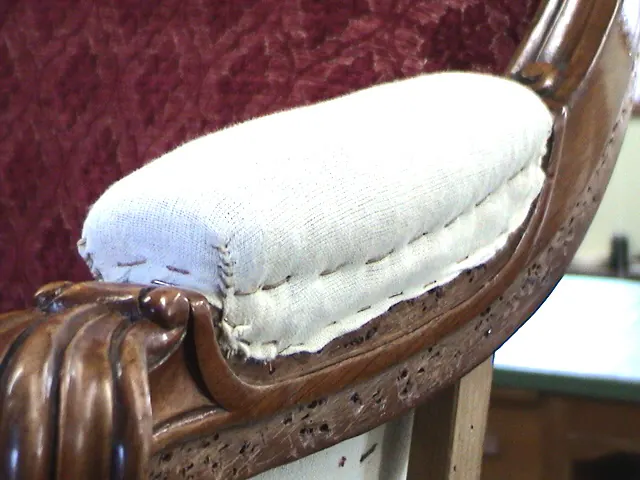 Napoleon III Settee, Louis XV Style, photo 20 of 22