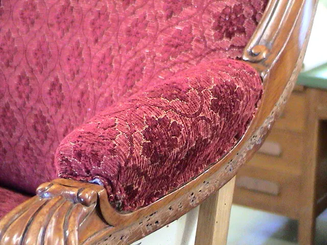 Napoleon III Settee, Louis XV Style, photo 21 of 22