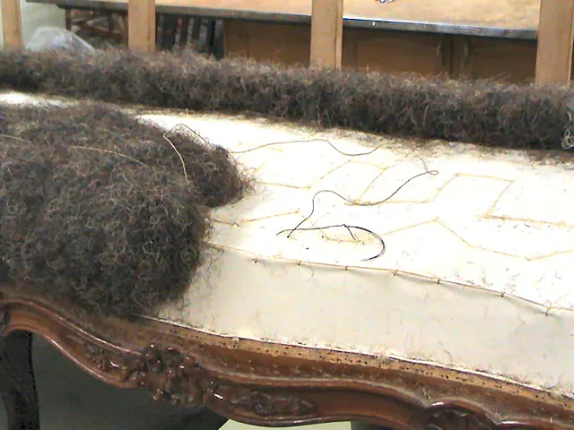 Napoleon III Settee, Louis XV Style, photo 6 of 22