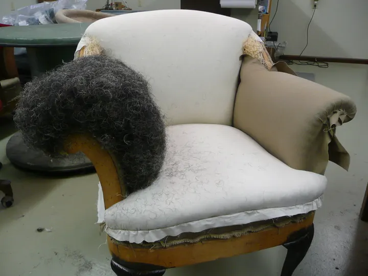 Horsehair, on a 1920s parlor chair in the shop